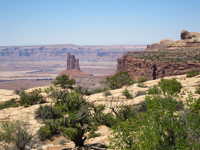 CANYON VIEW